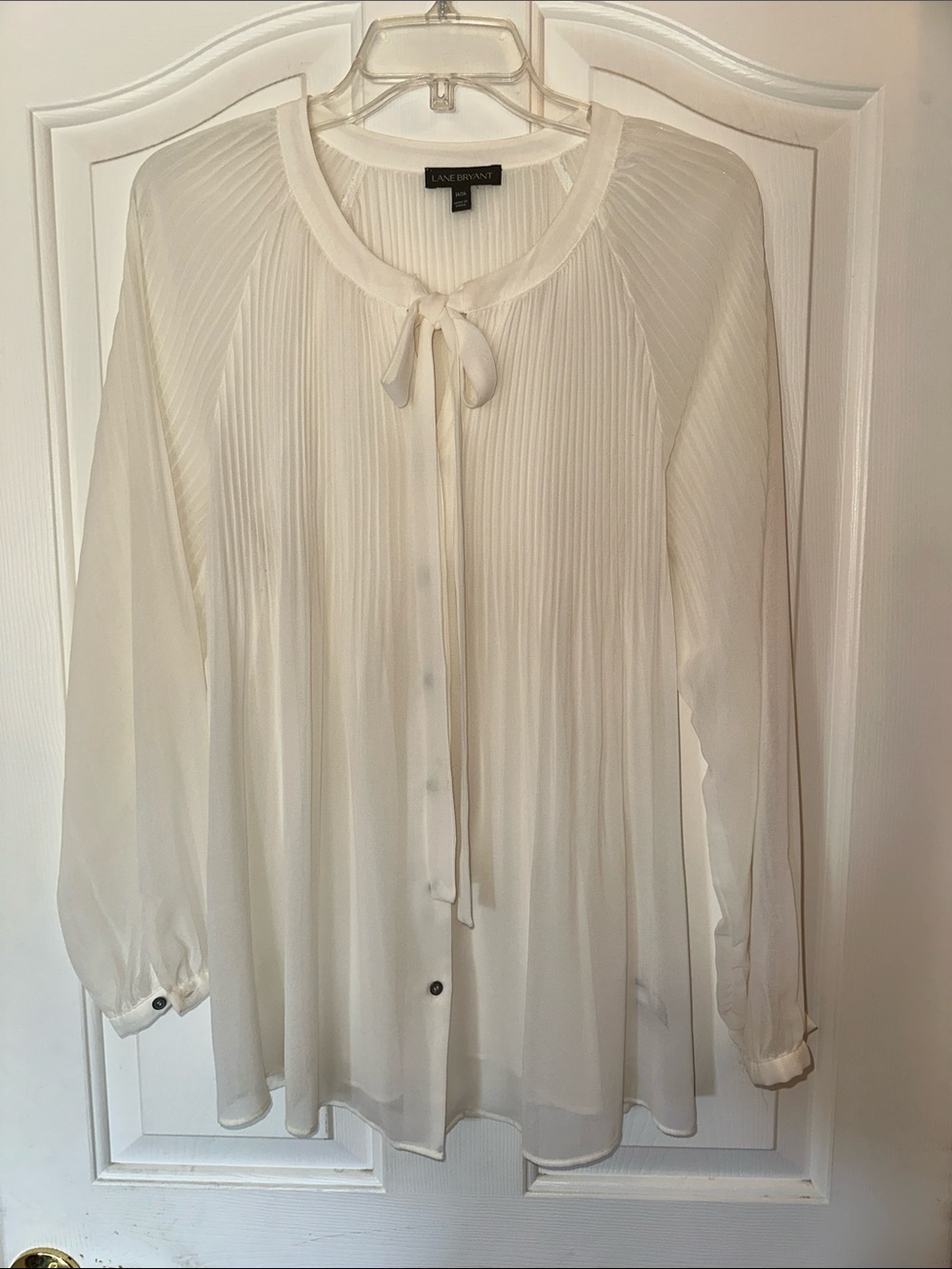 Beautiful sheer blouse